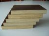 Sell film faced plywood