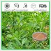 Sell  Alfalfa Extract, 5:1