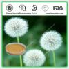 Sell Dandelion Plant Extract