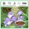 Sell Common Selfheal Fruit-spike extract