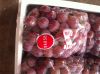 Sell Red Grapes