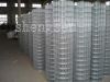 Sell galvanized welded wire mesh