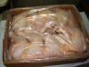 Frozen Chicken Leg Quarters