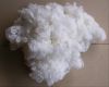 Sell 100% polyester staple fibre