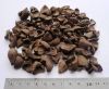 PALM KERNEL SHELL