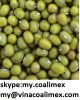 Green Mung Bean