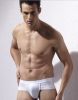 mens underwear