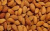 APRICOT KERNELS