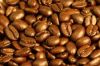 Robusta Coffee Beans