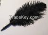 Natural Ostrich Feather