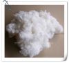 Sell viscose staple fiber