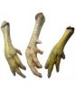 Export Chicken Paw | Chicken Feet Suppliers | Poultry Feet Exporters | Chicken Feets Traders | Processed Chicken Paw Buyers | Frozen Poultry Paw Wholesalers | Low Price Freeze Chicken Paw | Best Buy Chicken Paw | Buy Chicken Paw | Import Chicken Paw | Chi