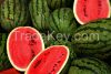 WATER MELON