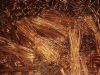 Sell supply Copper scrap wire