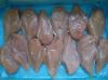 Frozen boneless halal chicken breast with ISO HACCP