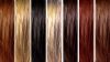 Sell 100% Brazilian Human Hair