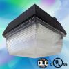 DEF60 60W MW driver IP65 UL/cUL/DLC approved led canopy light