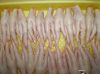 Export Chicken Paw | Chicken Feet Suppliers | Poultry Feet Exporters | Chicken Feets Traders | Processed Chicken Paw Buyers | Frozen Poultry Paw Wholesalers | Low Price Freeze Chicken Paw | Best Buy Chicken Paw | Buy Chicken Paw | Import Chicken Paw | Chi