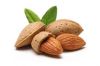 Sell Sweet almond oil