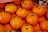 SELL MOROCCO Fresh Citrus Fruit ( ORANGES - CLEMENTINE )