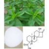 Sell Stevia Extract