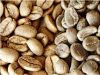 Robusta and Arabica Coffee Beans