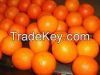 FRESH MANDARINE ORANGE