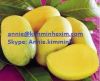 Sell Fresh Mango