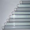 Sell t8 led tube 15w