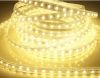 Sell Led strips light 3528/5050chips