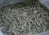 Dried Anchovy Fish