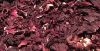 Dried Hibiscus Flower (100% Natural)