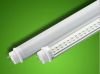 Sell LED tube T8 12W