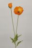 Sell  stem flower flower deocration festive silk flower poppy