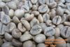 Export Coffee Beans | Arabica Coffee Beans Suppliers | Robusta Coffee Beans Exporters | Coffee Bean Traders | Wholesale Instant Coffee | Buy Coffee Beans | Bulk Coffee Bean | Green Coffee Bean Buyer | Low Price Roasted Coffee Bean | Import Coffee Bean | C