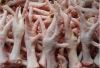 Export Chicken Paw | Chicken Feet Suppliers | Poultry Feet Exporters | Chicken Feets Traders | Processed Chicken Paw Buyers | Frozen Poultry Paw Wholesalers | Low Price Freeze Chicken Paw | Best Buy Chicken Paw | Buy Chicken Paw | Import Chicken Paw | Chi