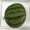 Fresh Watermelon ( Red - Sweet )/ Fresh Seedless WaterMelon / Fresh Yellow WaterMelon