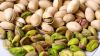 Grade A Pistachio Nuts / Roasted Pistachio Nuts / Sweet Pistachio for sale