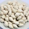 Fresh Ginkgo Nuts/ Raw Ginkgo Nuts/ Dried Ginkgo Nuts