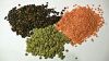 Red Lentils, Green Lentils Canada, Masoor Dal, Red Lentils, Green Lentils Split Red Lentils