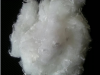 Sell supply high quality polyester staple fibre/PSF