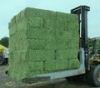 We Are Leading Exporters of Alfalfa Hay