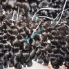 Sell Weft Curly Human Hair Extensions 100% Remy Hair