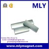 Sell Neodymium Rare Earth Arc Motor Magnet