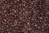 Export Coffee Beans | Arabica Coffee Beans Suppliers | Robusta Coffee Beans Exporters | Coffee Bean Traders | Wholesale Coffee Beans | Buy Coffee Beans | Bulk Coffee Bean | Green Coffee Bean Buyer | Low Price Roasted Coffee Bean | Import Coffee Bean | Cof