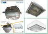 Sell Bi-level Dimmable Garage Induction Lamp False Modern Ceiling Ligh