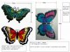 Sell hand painted butterfly