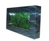 Wall- Mounted Fish Tank