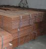 Sell Copper Cathode