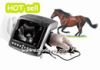 Sell Veterinary Ultrasound Scanner(BW560V)